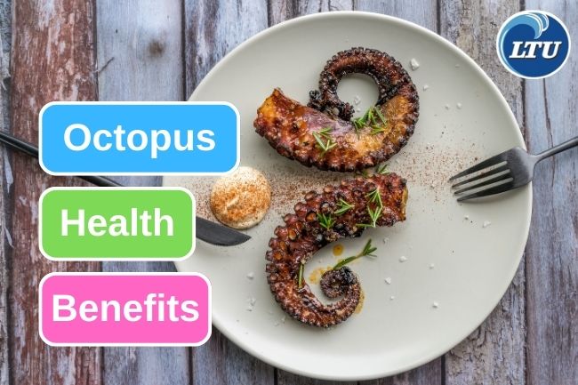 5 Health Benefits You Can Get From Eating Octopus